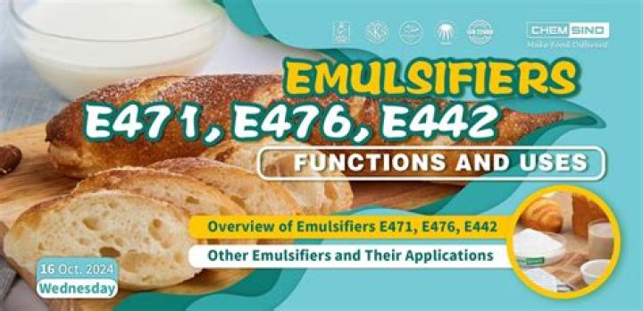 What is the meaning of emulsifiers 442 476?