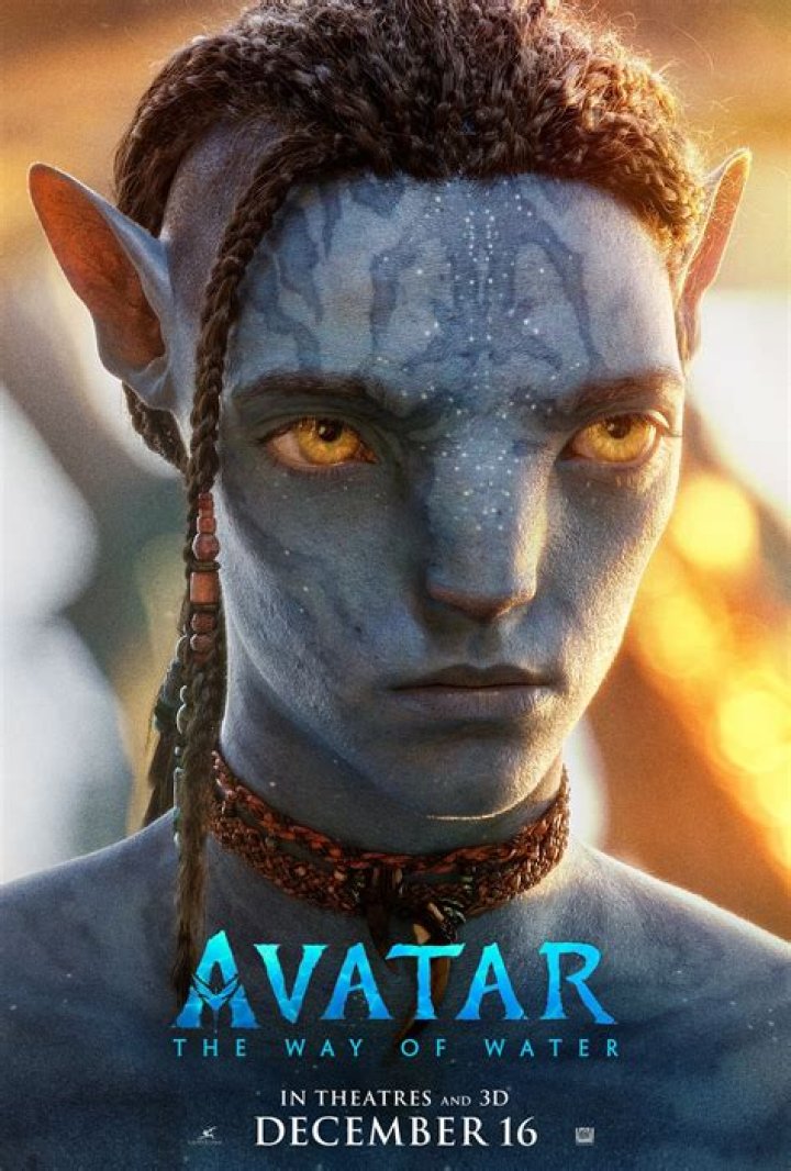 What is the meaning of I see you in the movie Avatar?
