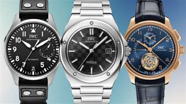 What is the meaning of IWC watch?