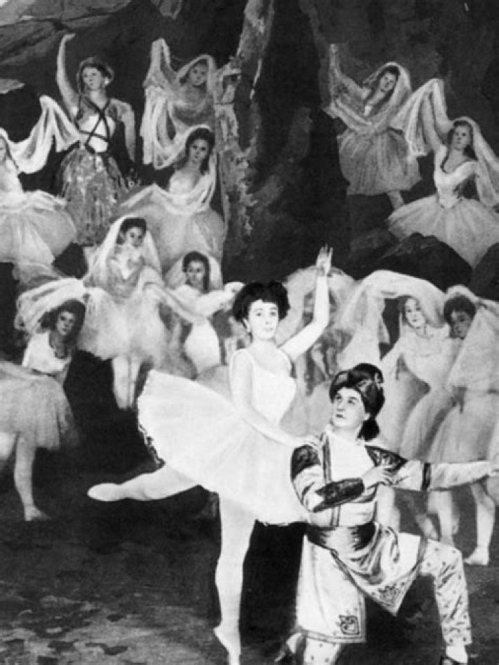 What is the meaning of La Bayadere?