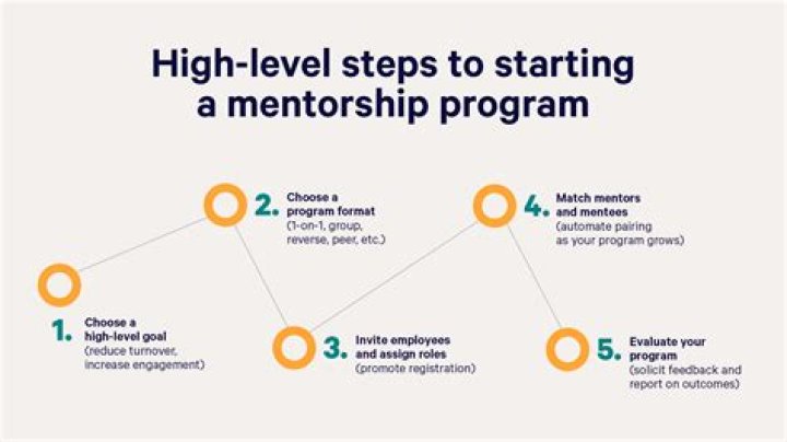 What is the mentorship program?
