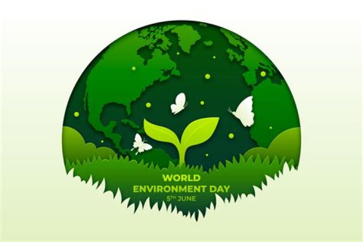 What is the message of this environment day?