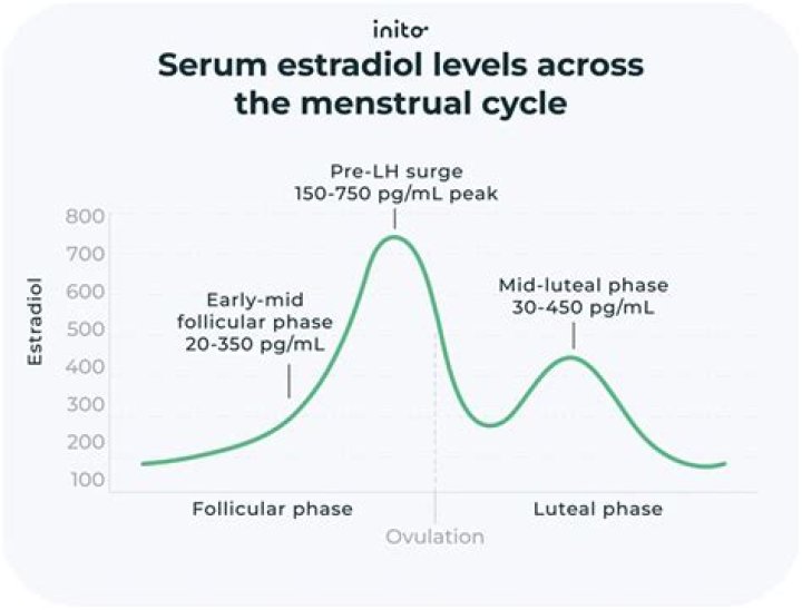 What is the normal range for estradiol levels?