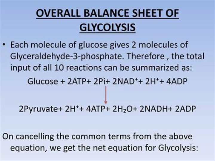 What is the overall equation for gluconeogenesis?