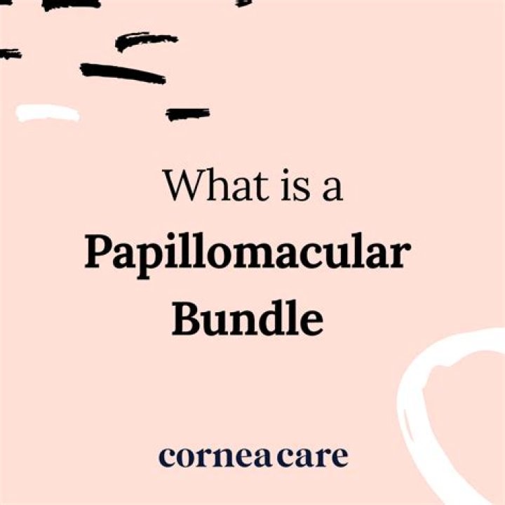 What is the Papillomacular bundle?