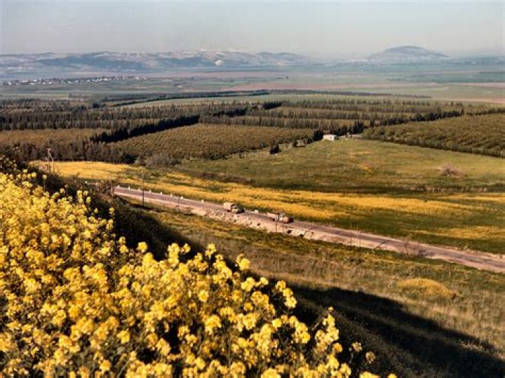 What is the plain of Megiddo?
