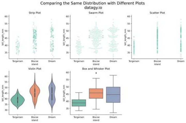What is the plot of Swarm?
