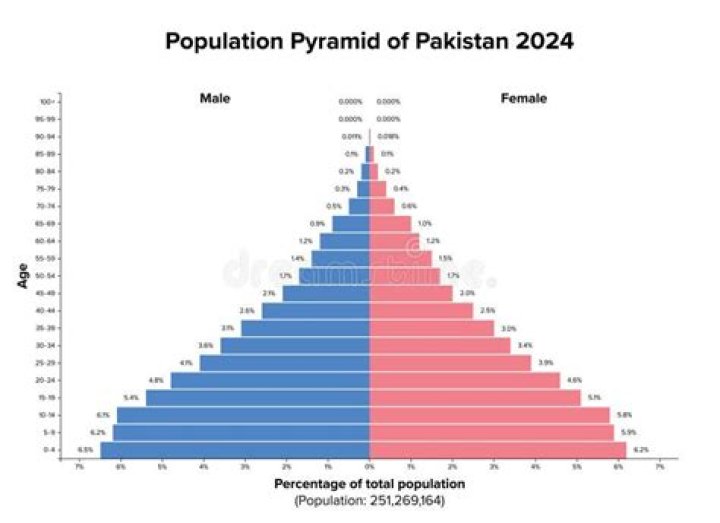 What is the population of Pakistan 2021 in millions?