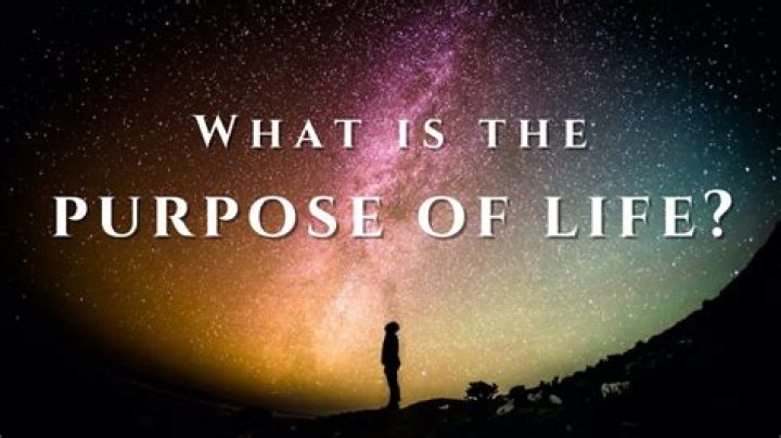 What is the purpose of the AEC?
