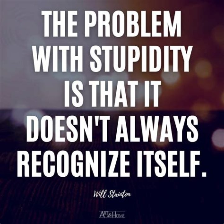What is the quote about being stupid?