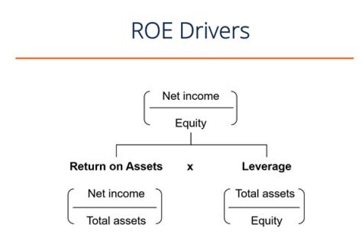 What is the return on equity ratio?