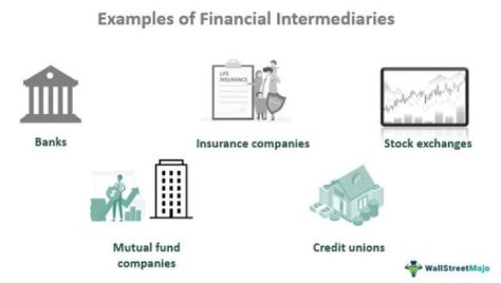 What is the role of the financial intermediaries in the financial system?