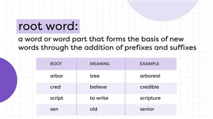 What is the root word for moratorium?