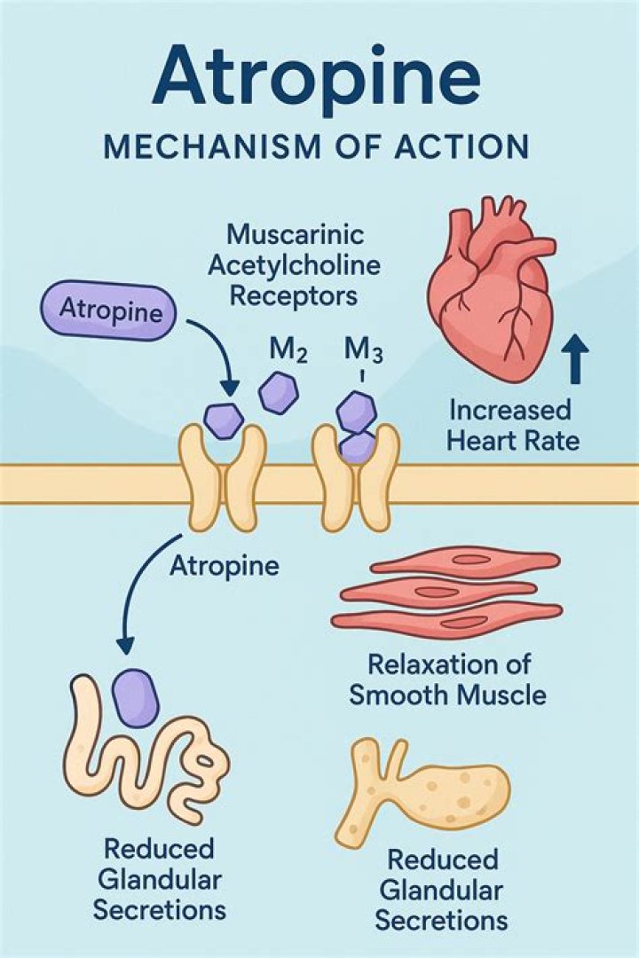 What is the specific mode of action of atropine sulfate?