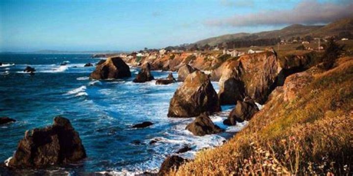 What is the vegetation in the coastal region of California?