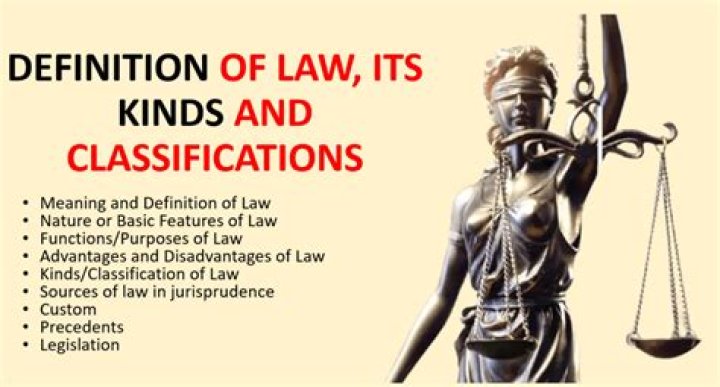 What is the vocabulary word for laws?