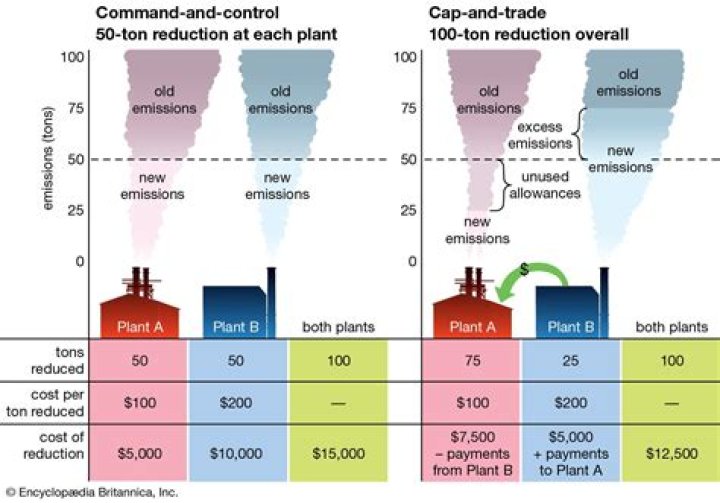 What is tradable emission allowance?