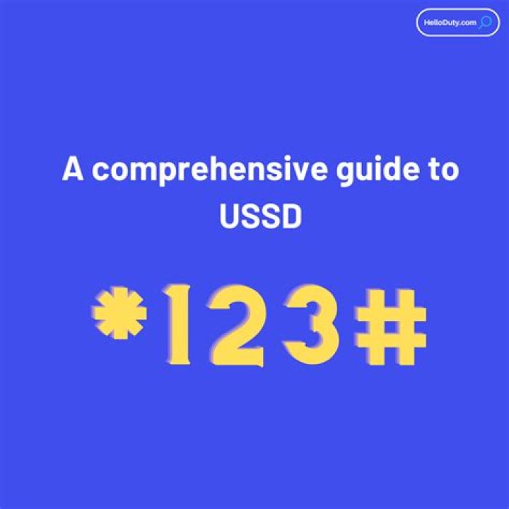 What is USSD shipping?