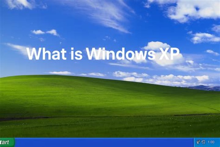 What is Windows XP compatible with?
