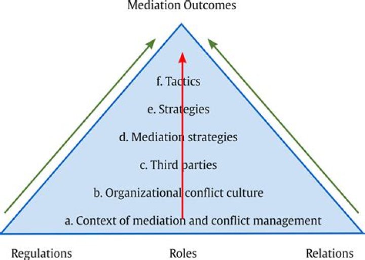 What kind of cases go to mediation?