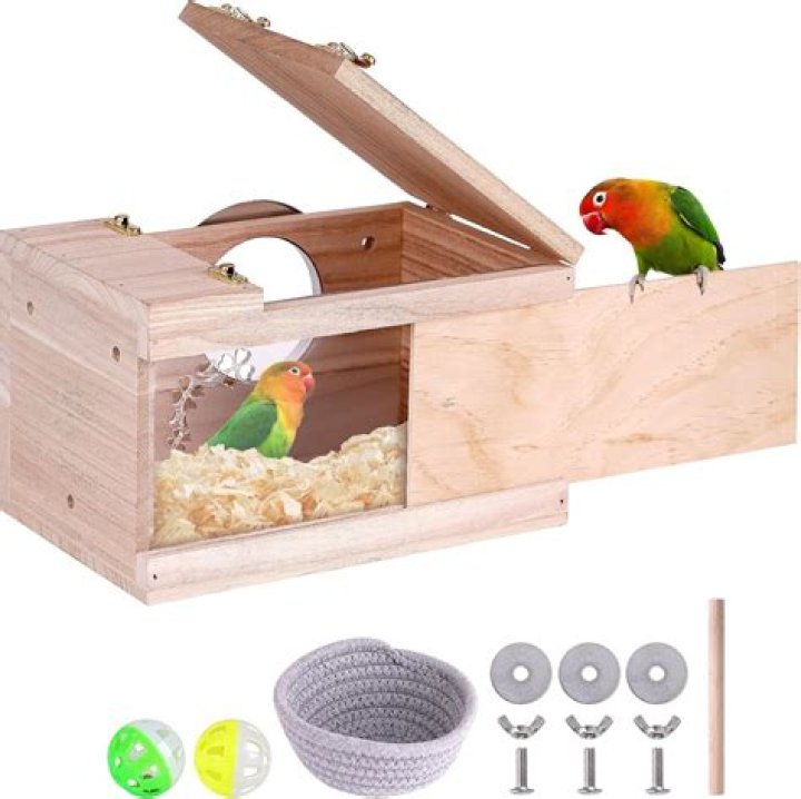 What kind of nesting box Do budgies need?