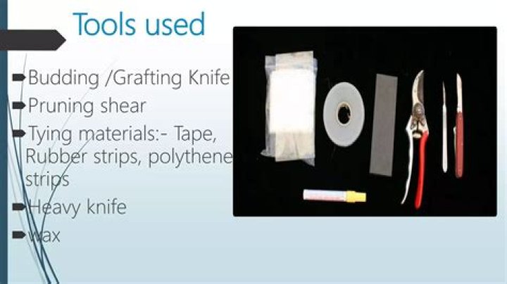 What kind of wax is used for grafting?