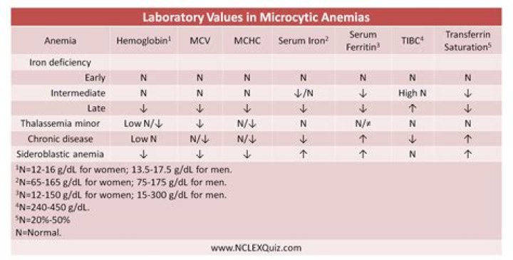 What lab values indicate pernicious anemia?