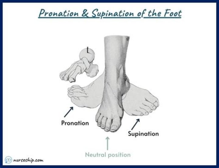 What movement will occur for supination of the foot?