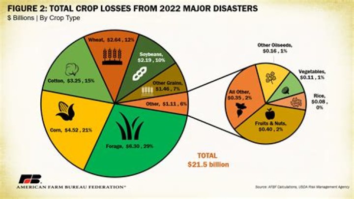 What percentage of crop are lost to diseases each year?