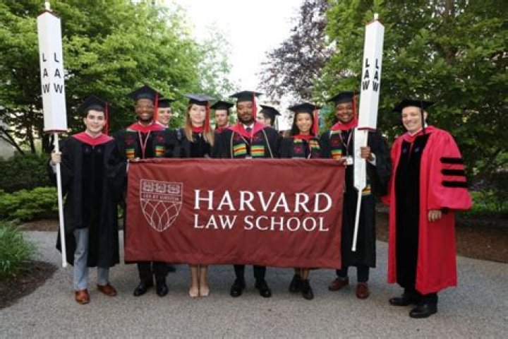 What positions are available for law school graduates?