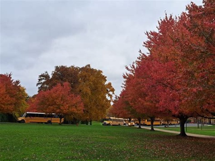 What School District is Selinsgrove PA?