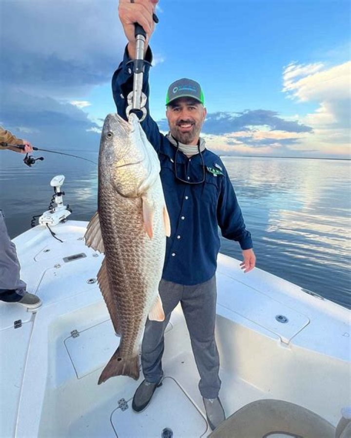 What sea fish can you catch in Ireland?