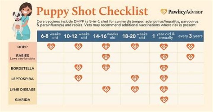 What shots are puppies supposed to get?