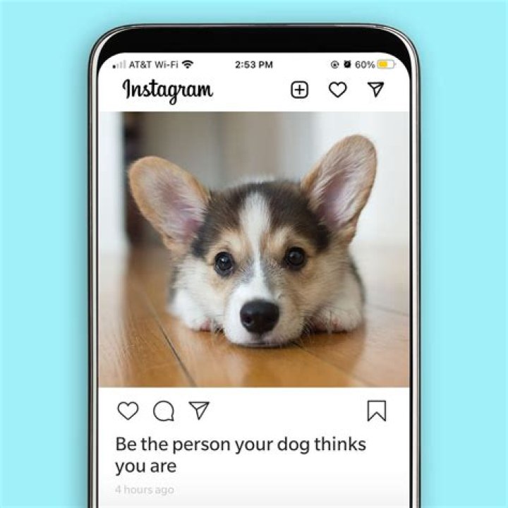 What should I Caption my Dogs picture?