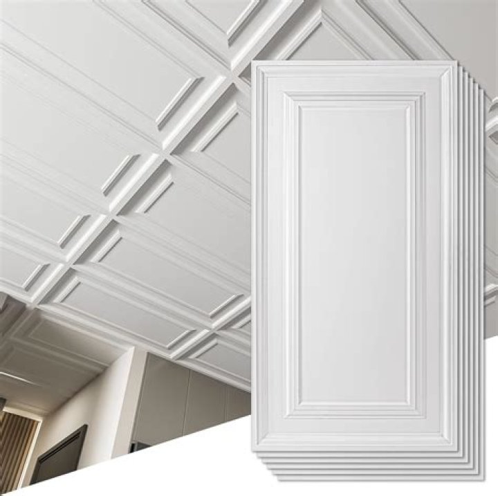 What size do ceiling panels come in?