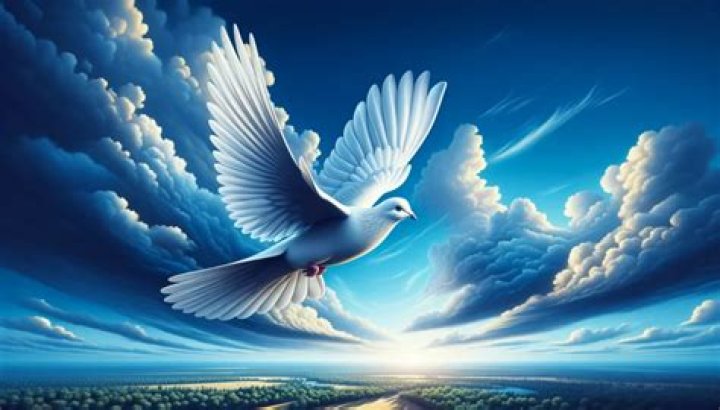 What symbolizes hope for Katniss and District 12?