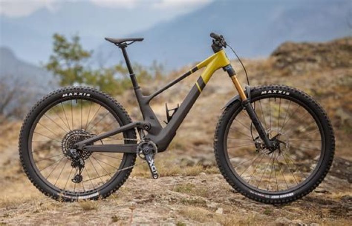 What type of bike is the Scott Genius?