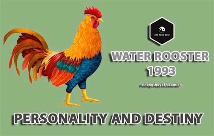 What type of Rooster is 1993?