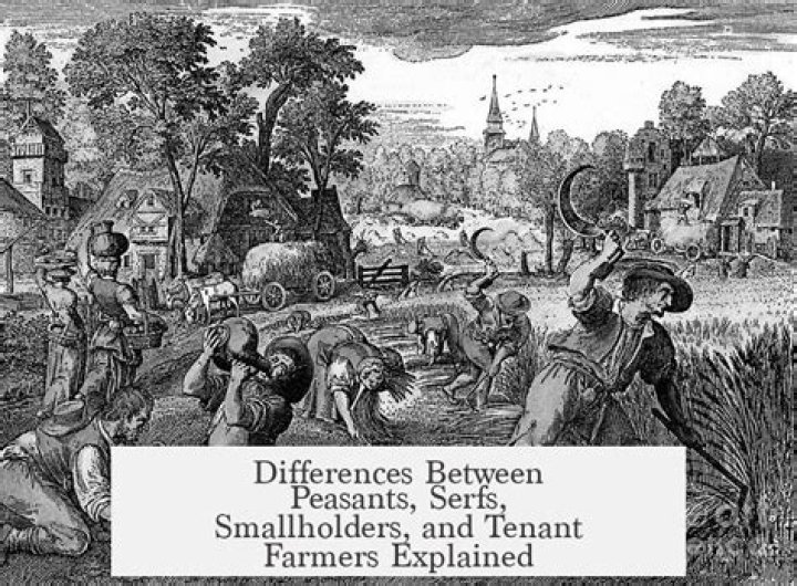 What was the difference between a small farmer and a tenant farmer?