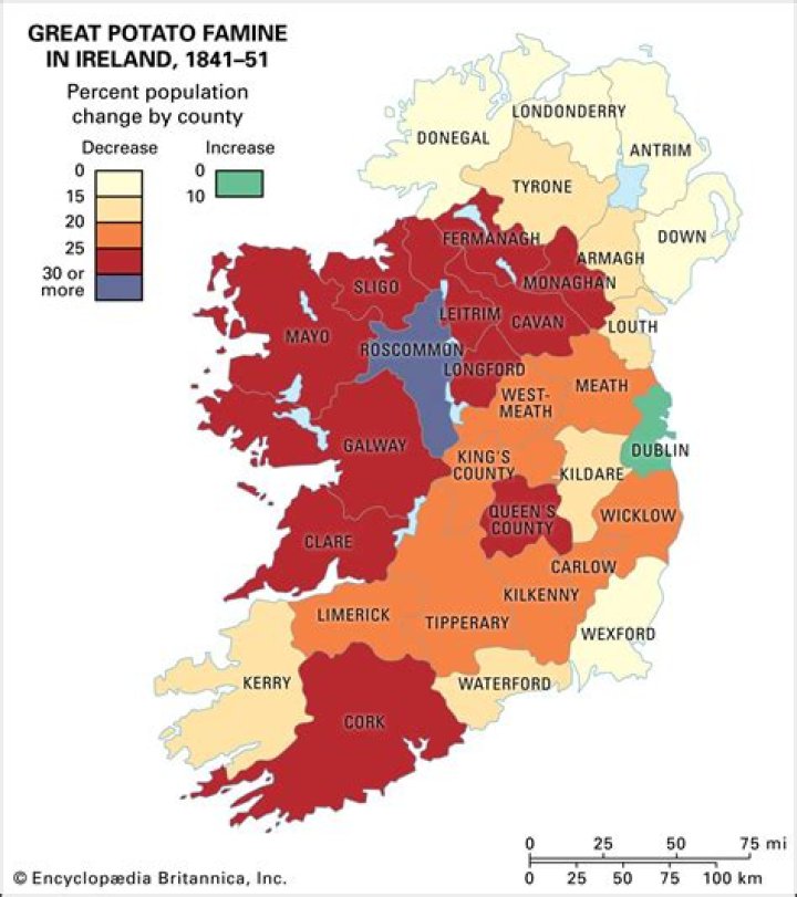 What was the population in Ireland before the famine?