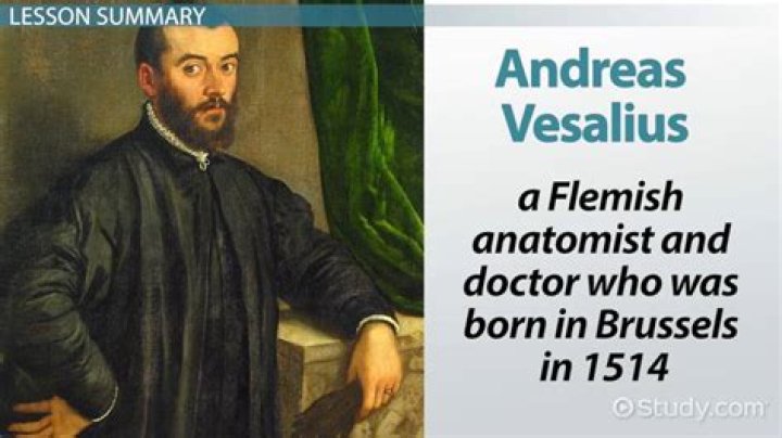 What was Vesalius theory?