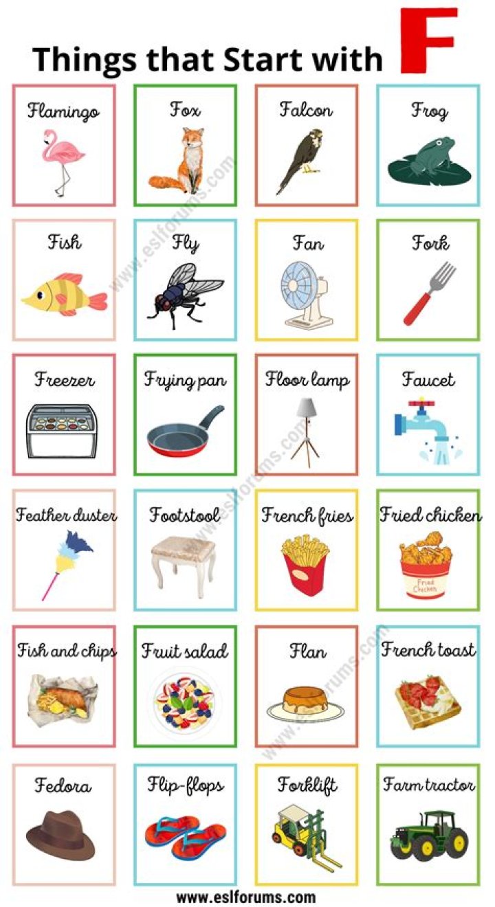 What words start with eel?