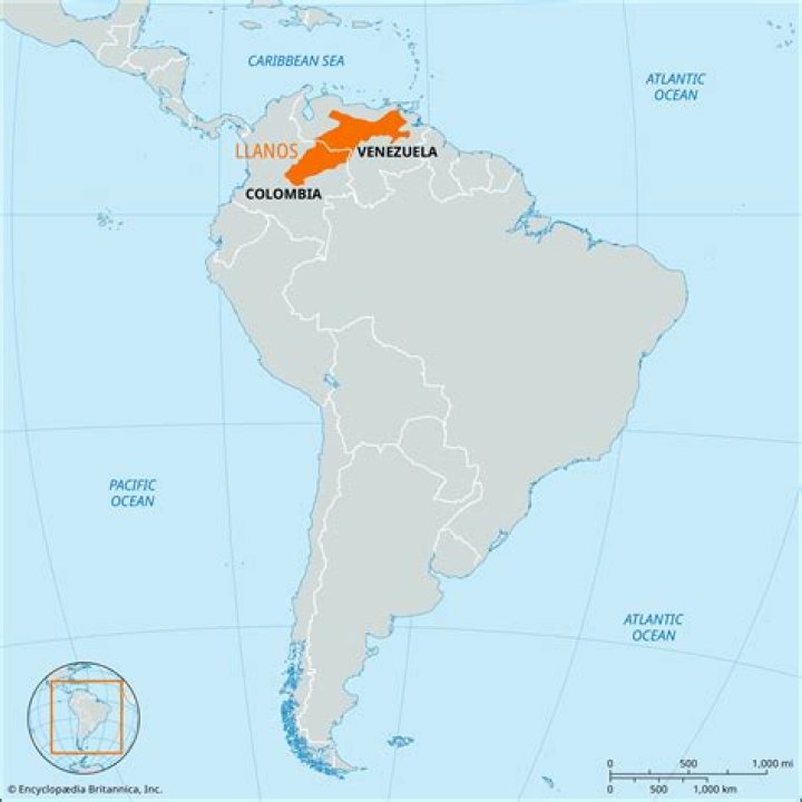 Where are the Llanos in Venezuela?