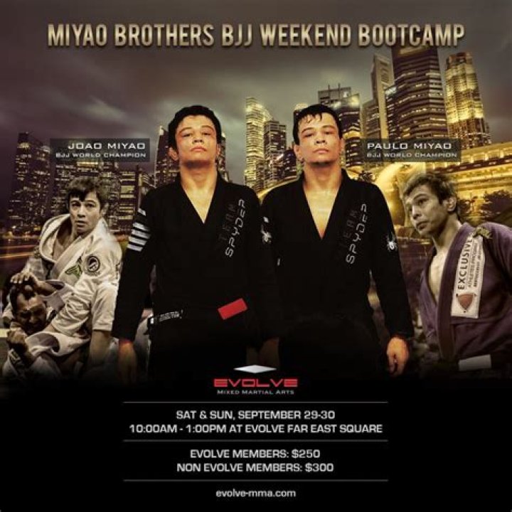 Where are the Miyao brothers from?
