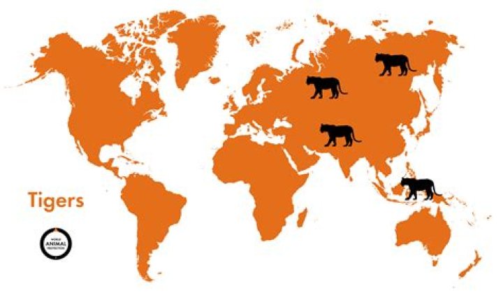 Where are tigers found in Telangana?
