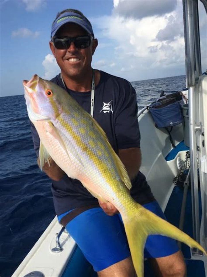 Where can I catch yellowtail snapper Marathon in Florida?