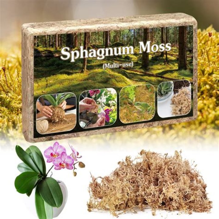 Where can I find sphagnum moss?