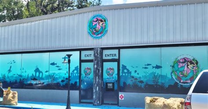 Where can I see mermaids in Florida?