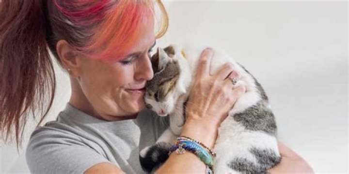 Where can I surrender my cat for free in Michigan?