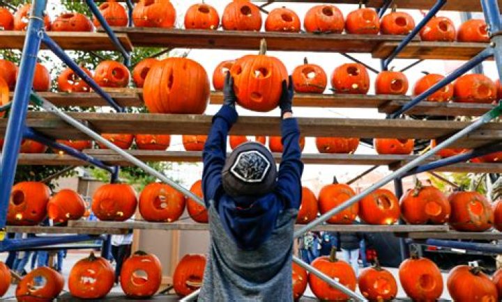 Where is Highwood pumpkin?